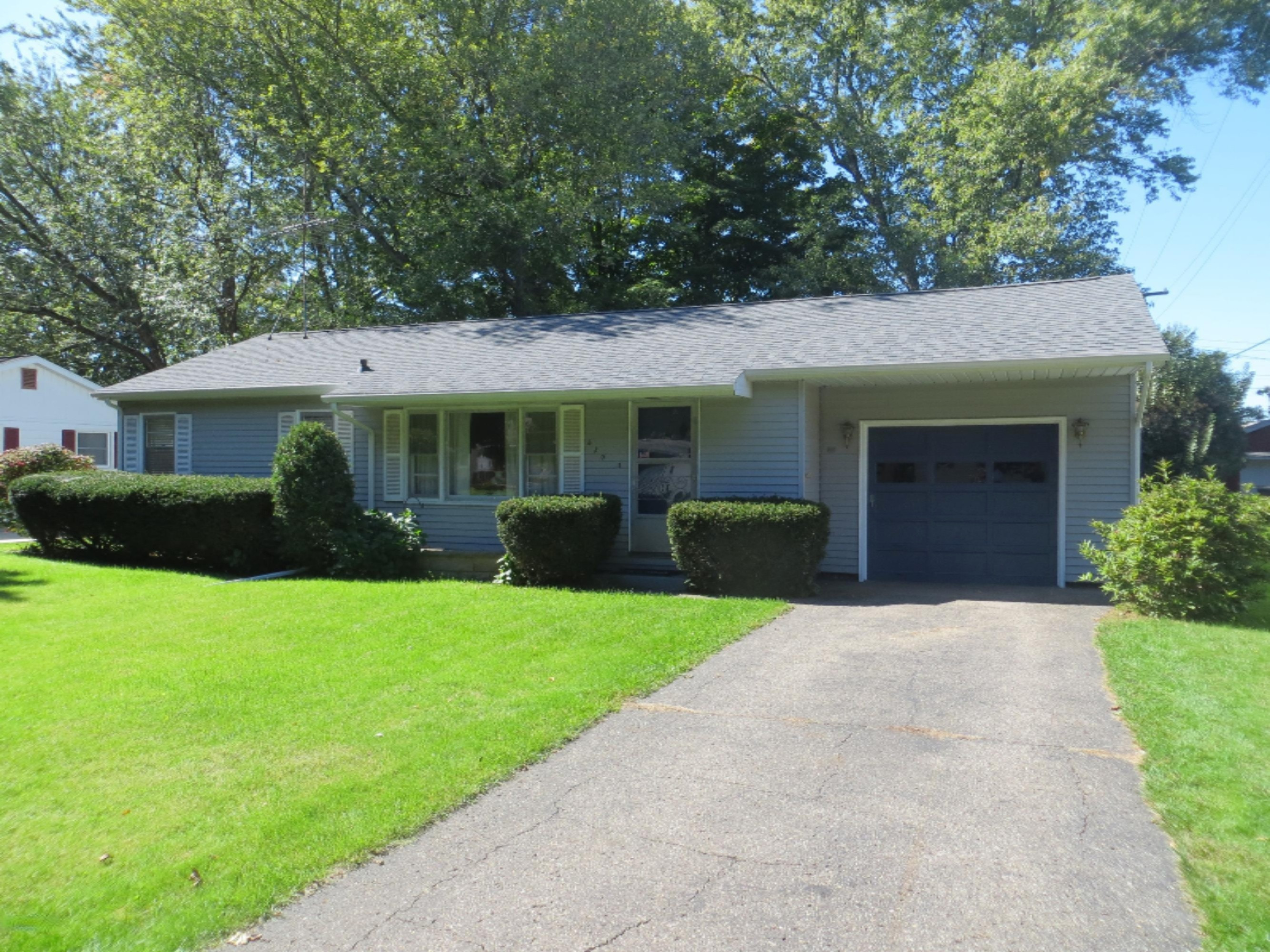 520 North Douglas Avenue Three Rivers, MI 49093 - Photo 2 of 19 Douglas 1