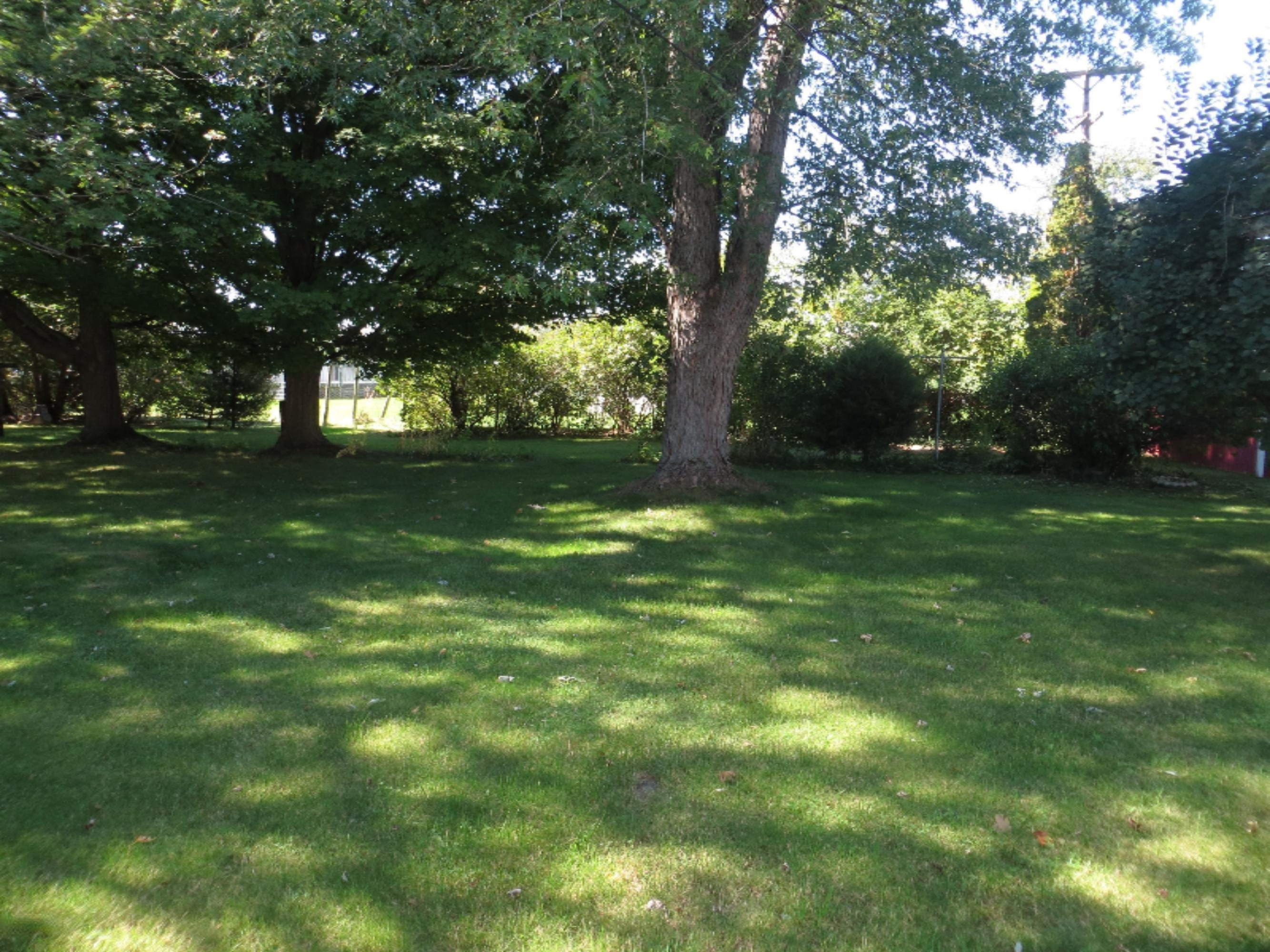 520 North Douglas Avenue Three Rivers, MI 49093 - Photo 6 of 19 Douglas Backyard