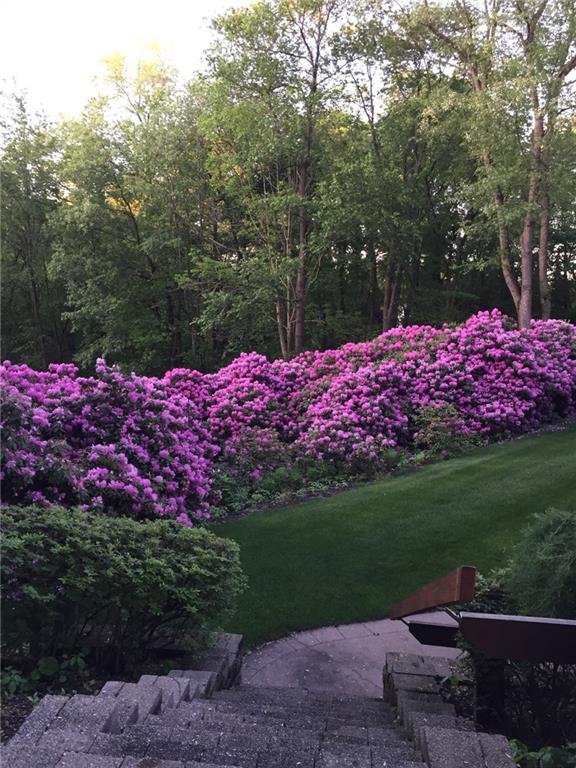 400 Isle Road Butler, PA 16001 - Photo 23 of 25 Rhododendron bushes in summer