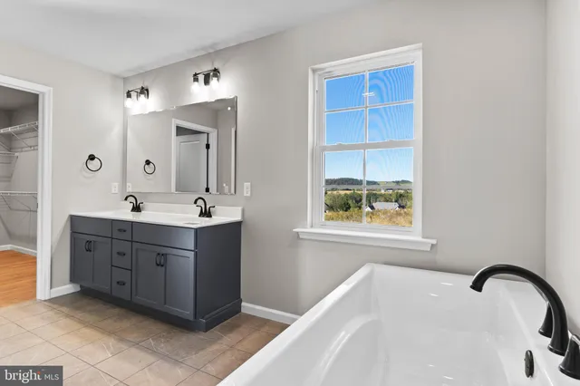 a bathroom with a double vanity sink and a bathtub