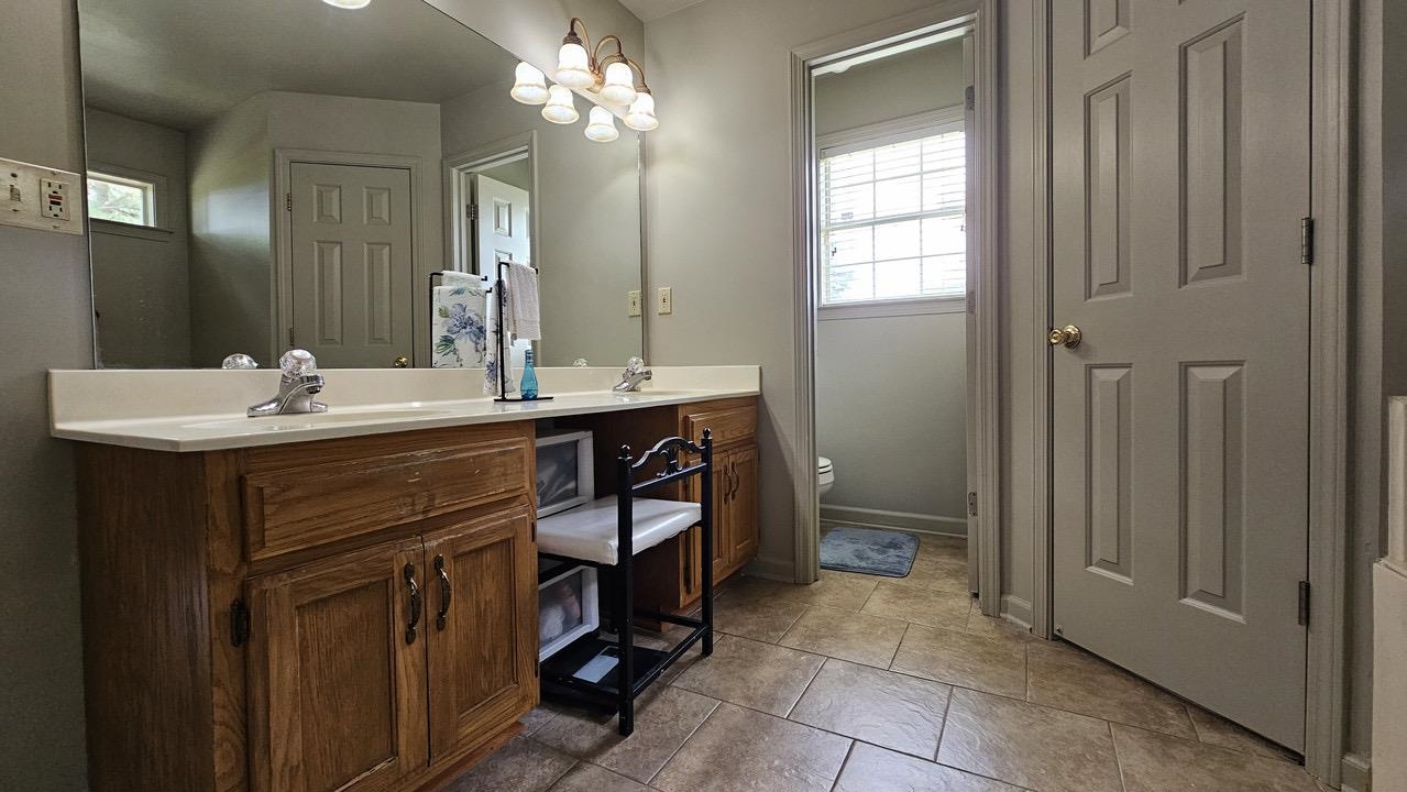 9919 Millington Arlington Road Arlington, TN 38002 - Photo 10 of 22 a bathroom with a sink a toilet and mirror