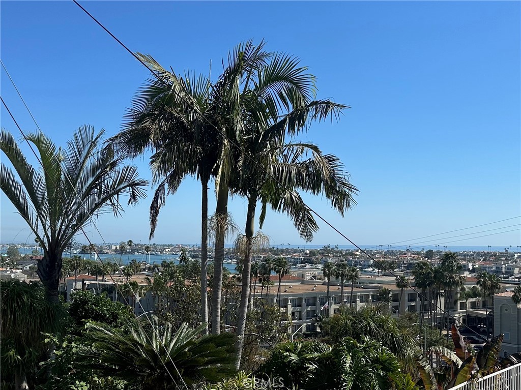 1221 Kings Road Newport Beach, CA 92663 - Photo 4 of 14 an ocean view with palm trees