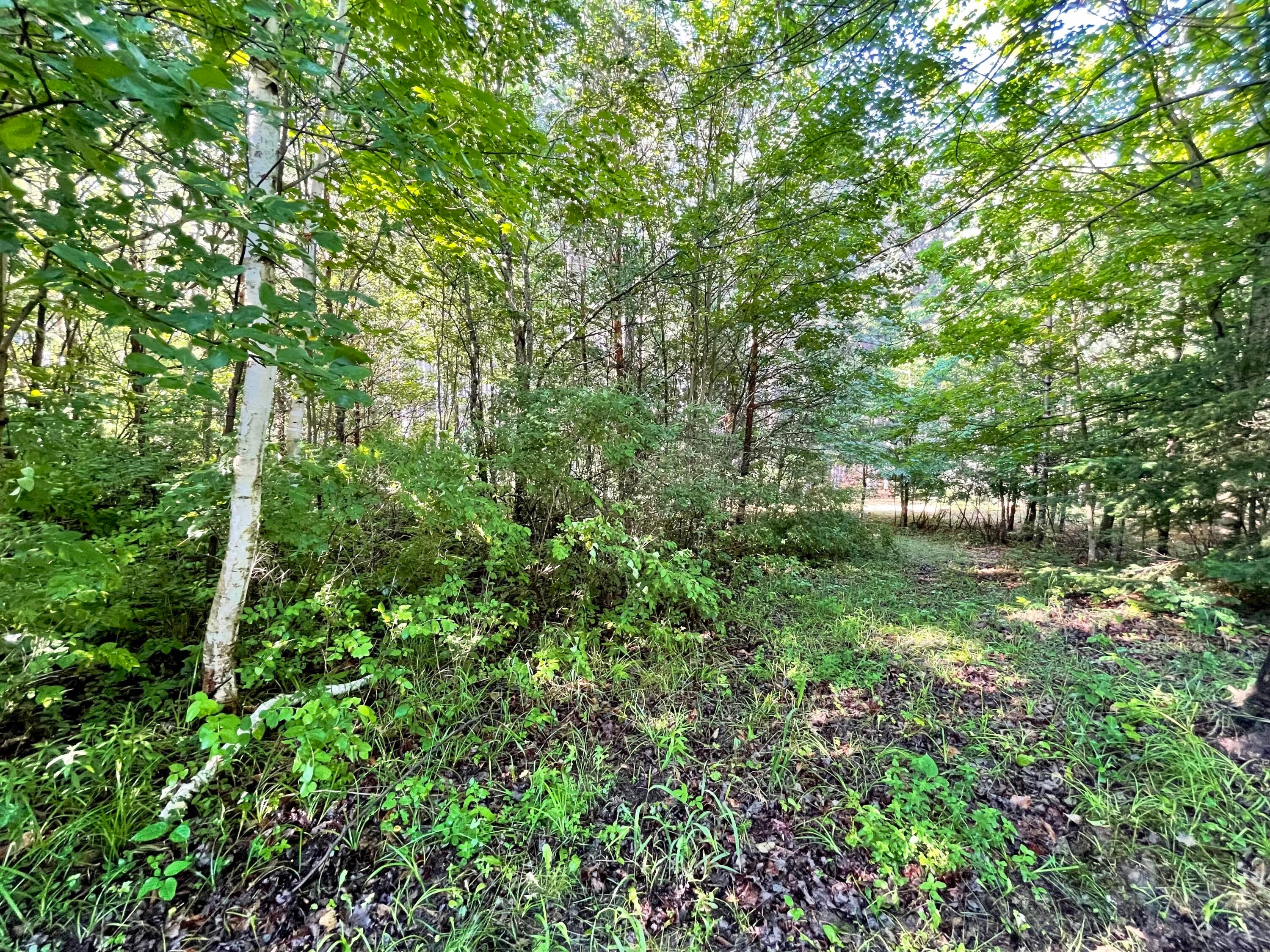 5340 Knaffle Road Cheboygan, MI 49721 - Photo 47 of 58 Gallery Image 47