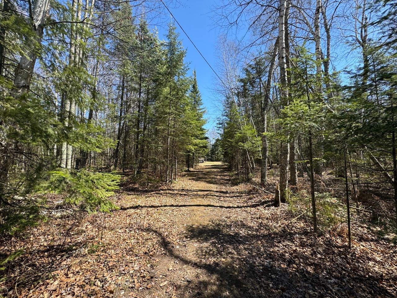2786 Bisenius Road Park Falls, WI 54552 - Photo 27 of 35 Gallery Image 27