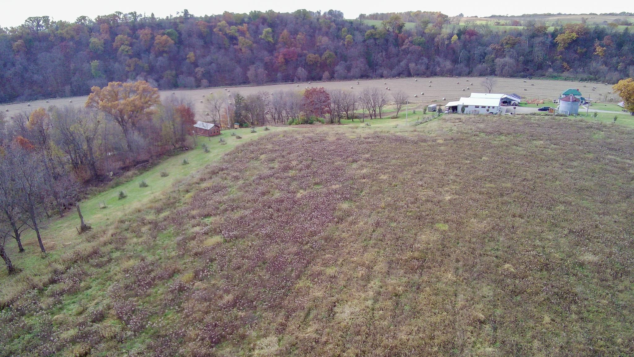 7469 Grant River Road Cassville, WI 53806 - Photo 62 of 76