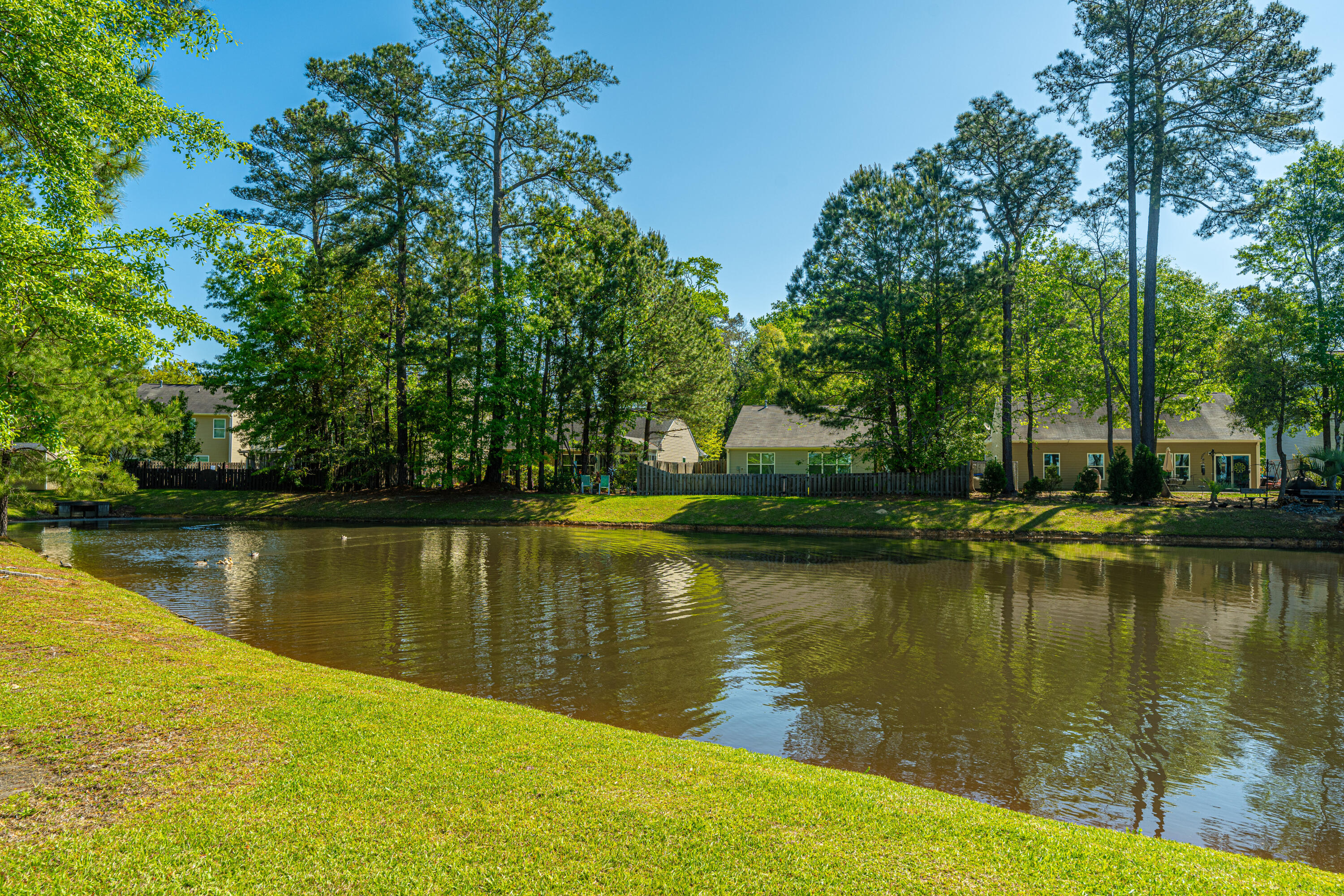 213 Alpine Road Summerville, SC 29485 - Photo 35 of 39 Pond Site