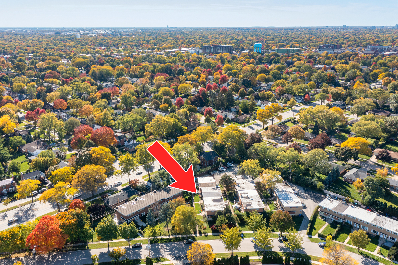 20 North Albert Street Mount Prospect, IL 60056 - Photo 25 of 25 a view of city