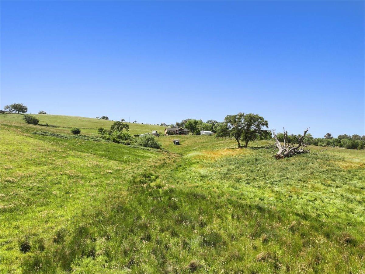 7497 McCourtney Road Lincoln, CA 95648 - Photo 58 of 73 a view of a large yard with lots of green space