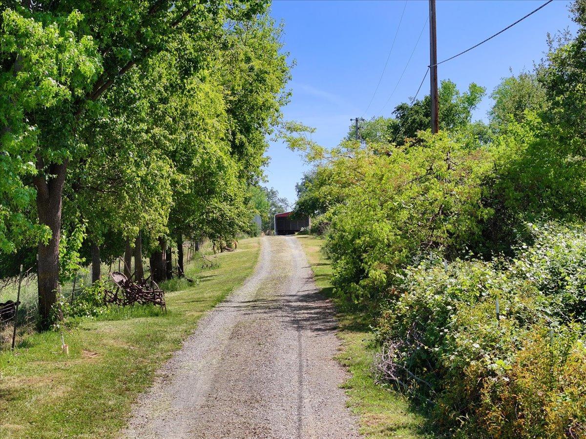 7497 McCourtney Road Lincoln, CA 95648 - Photo 65 of 73 a view of a park with plants and trees
