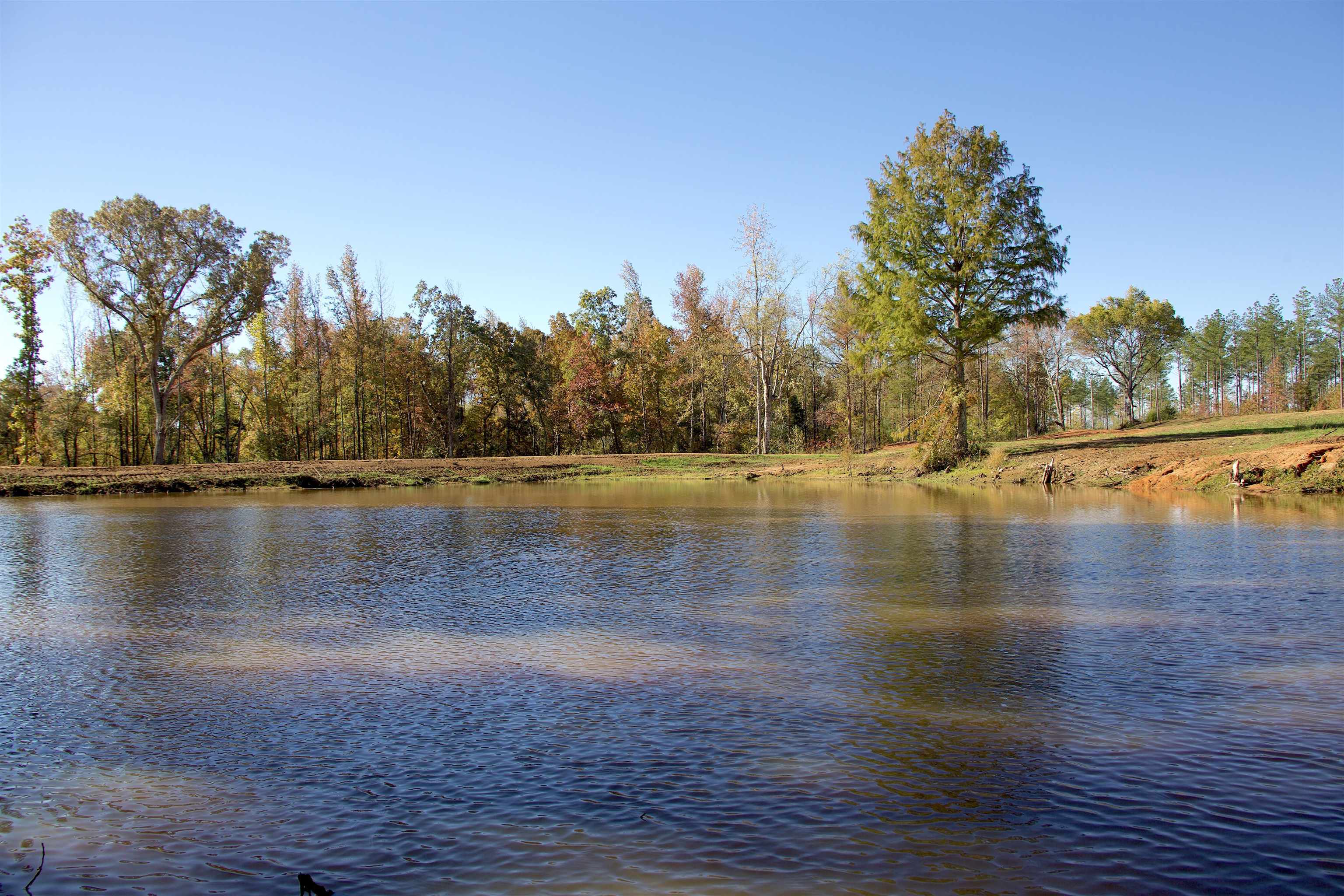 1050 Clifft Road Bolivar, TN 38008 - Photo 11 of 21 a view of a lake view