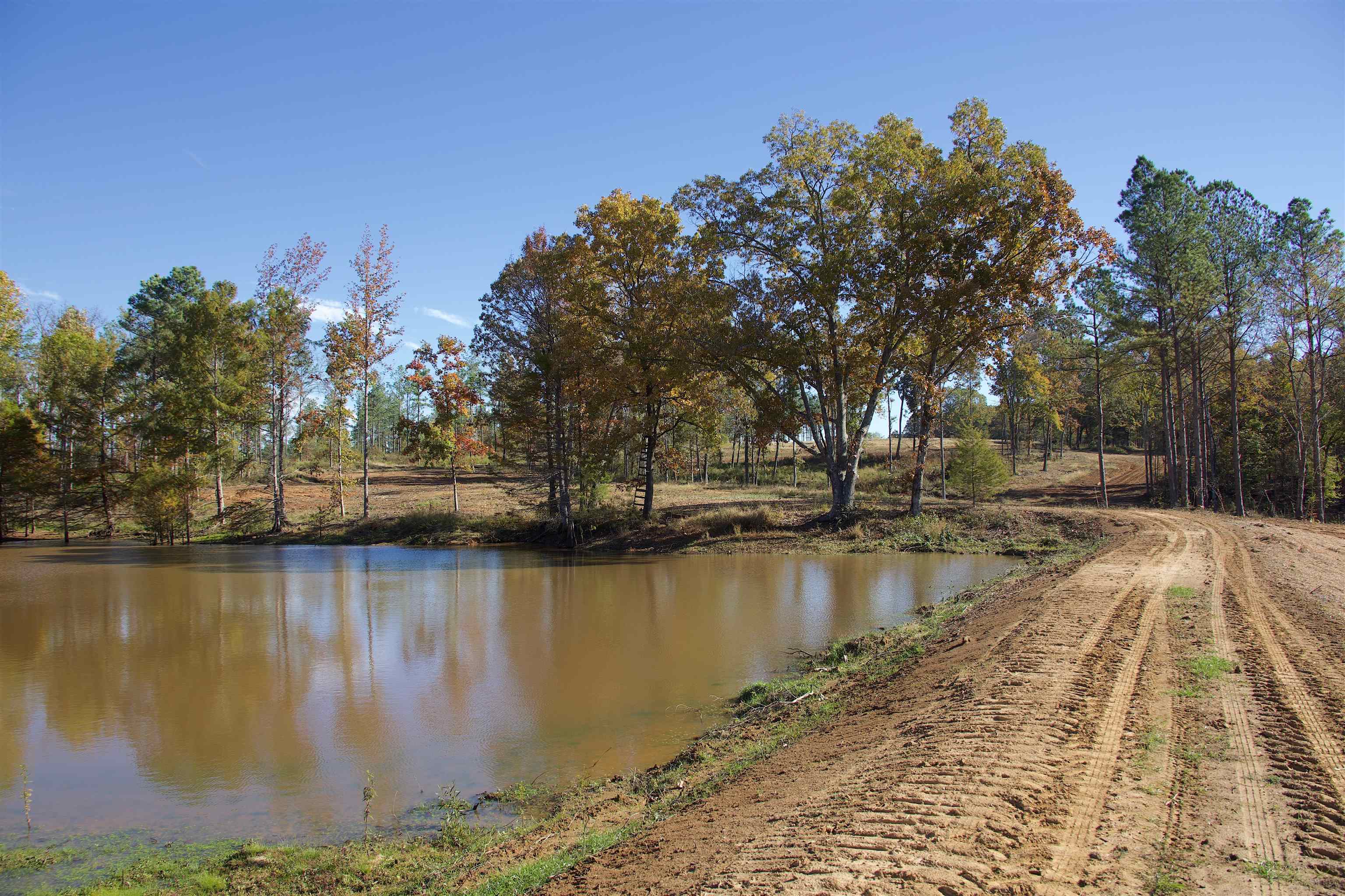 1050 Clifft Road Bolivar, TN 38008 - Photo 12 of 21 a view of a lake with houses