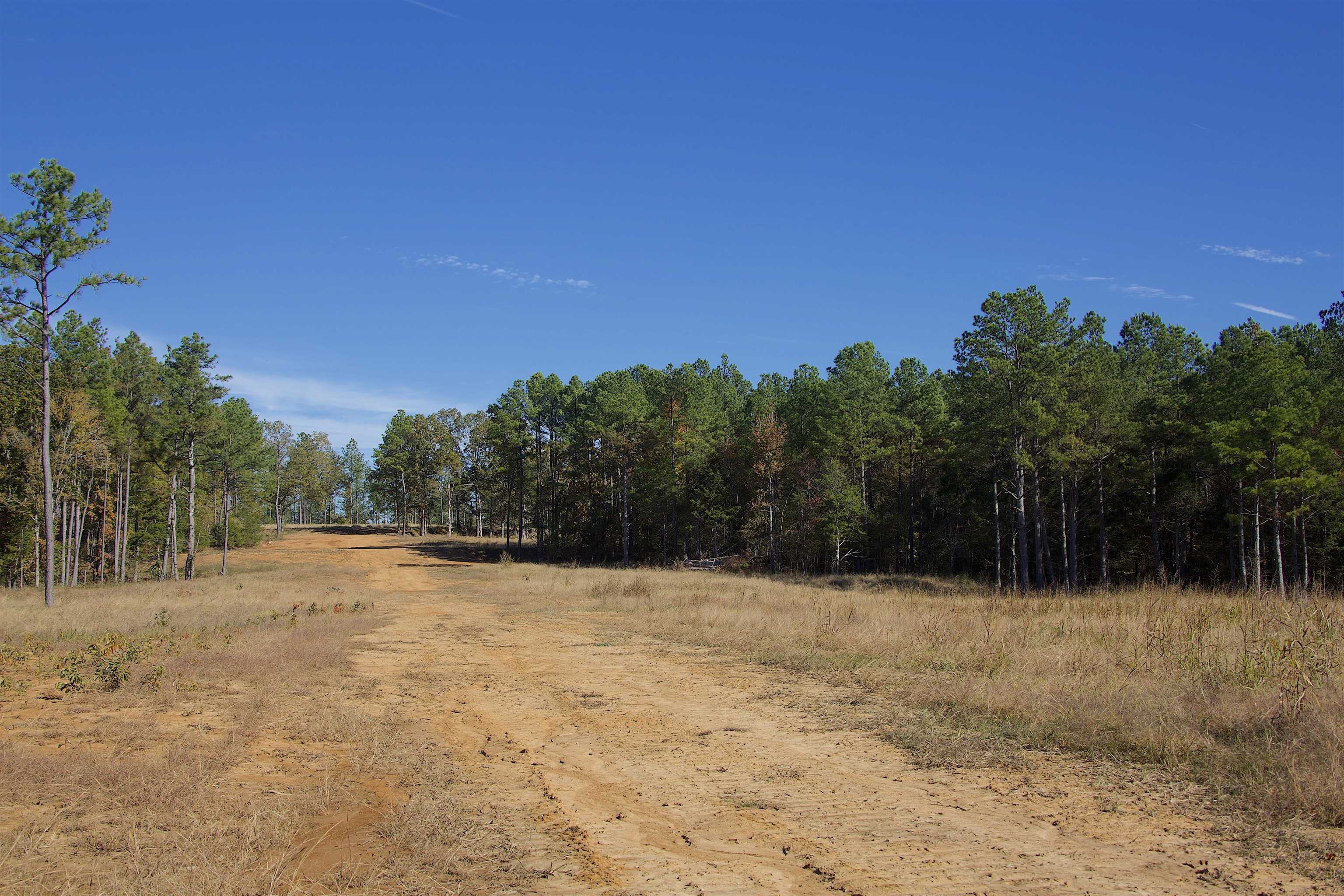 1050 Clifft Road Bolivar, TN 38008 - Photo 16 of 21