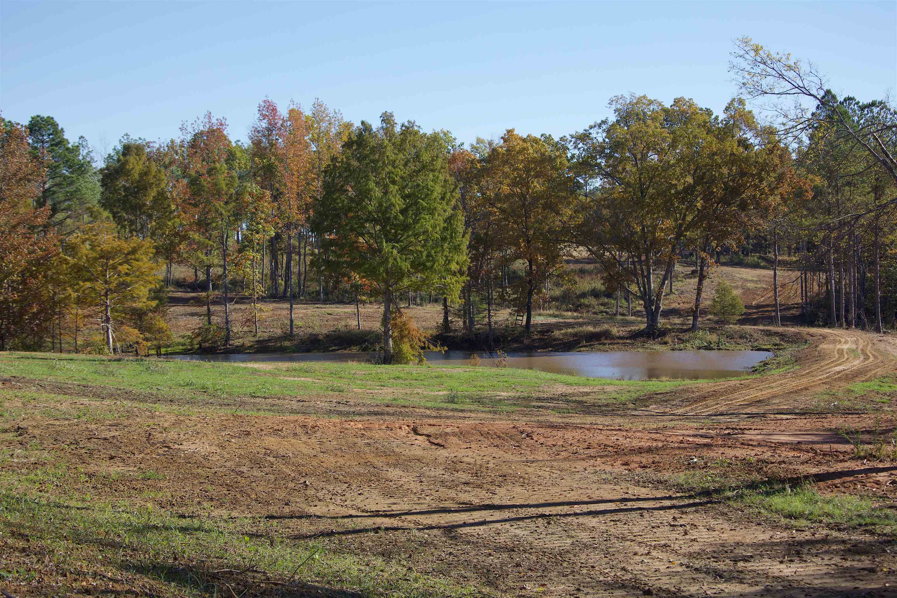 1050 Clifft Road Bolivar, TN 38008 - Photo 17 of 21 a view of backyard with green space