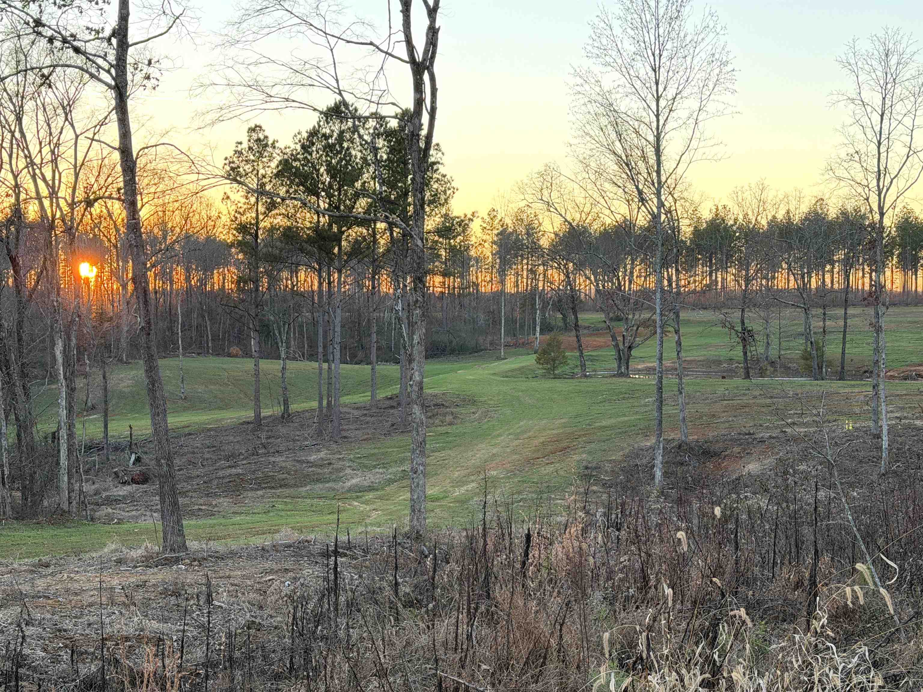 1050 Clifft Road Bolivar, TN 38008 - Photo 2 of 32 Gallery Image 2