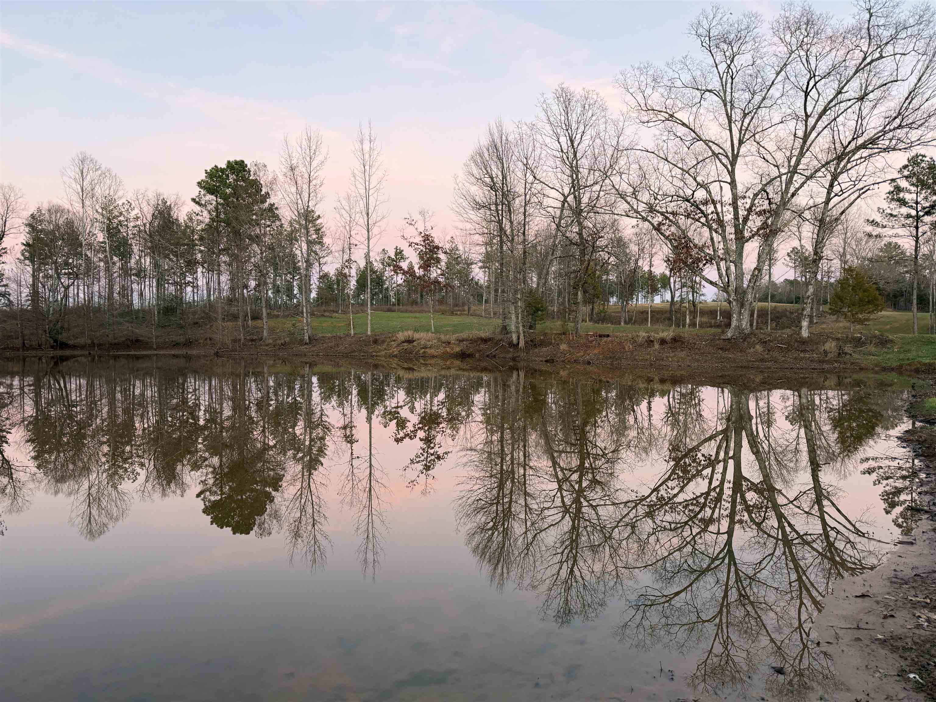 1050 Clifft Road Bolivar, TN 38008 - Photo 21 of 32 Gallery Image 21