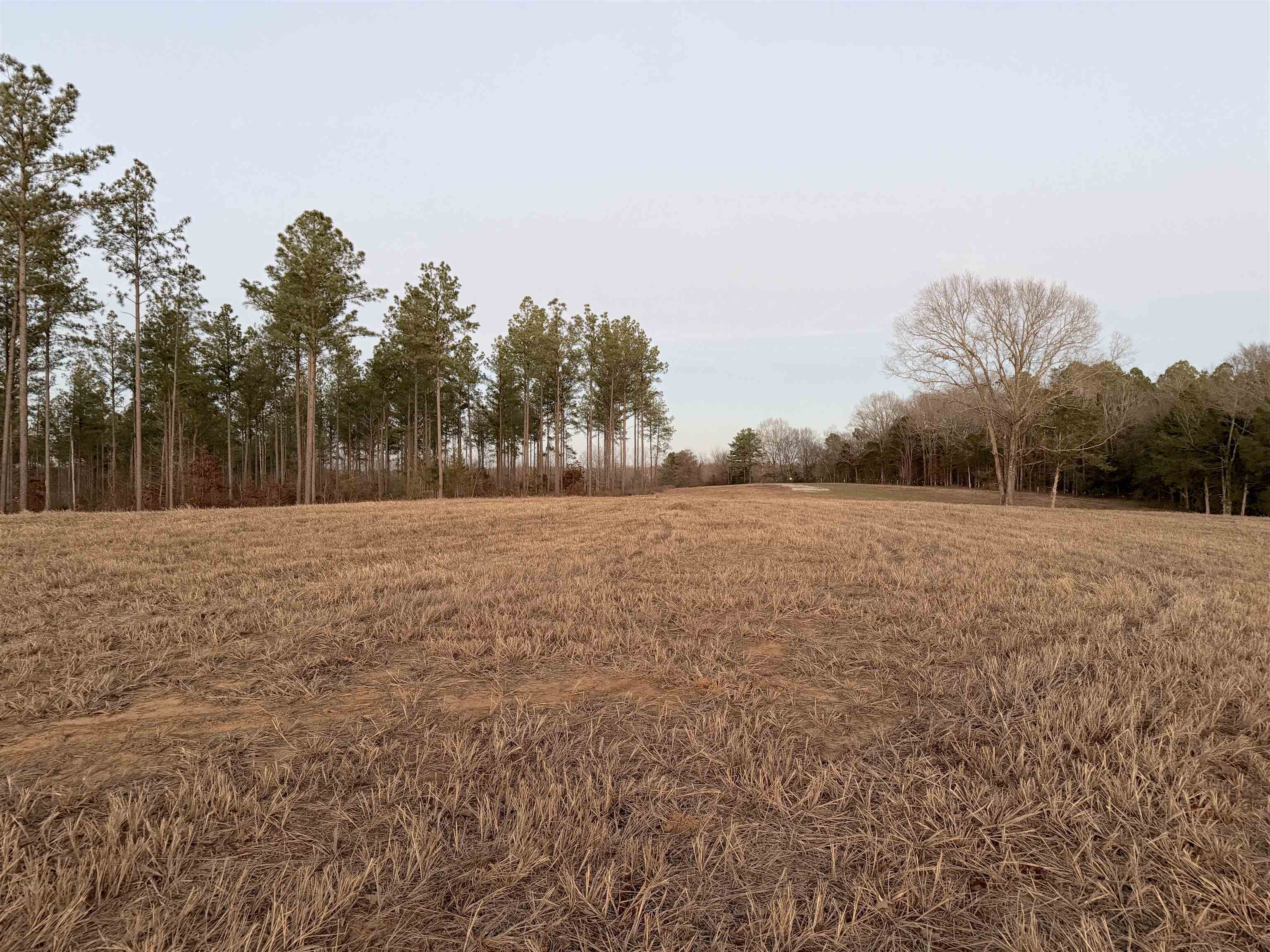 1050 Clifft Road Bolivar, TN 38008 - Photo 27 of 32 Gallery Image 27