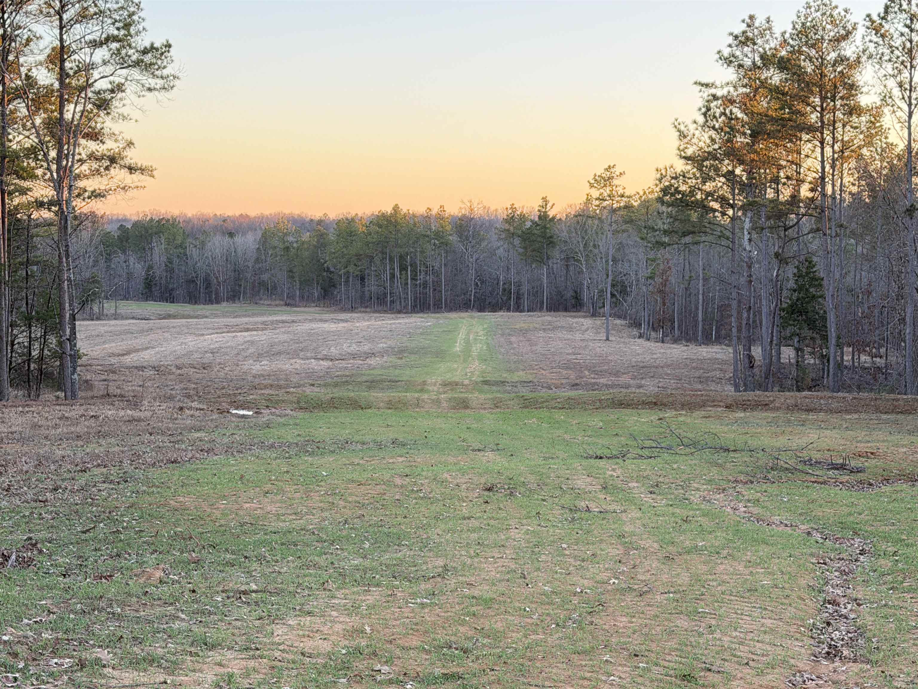 1050 Clifft Road Bolivar, TN 38008 - Photo 28 of 32 Gallery Image 28