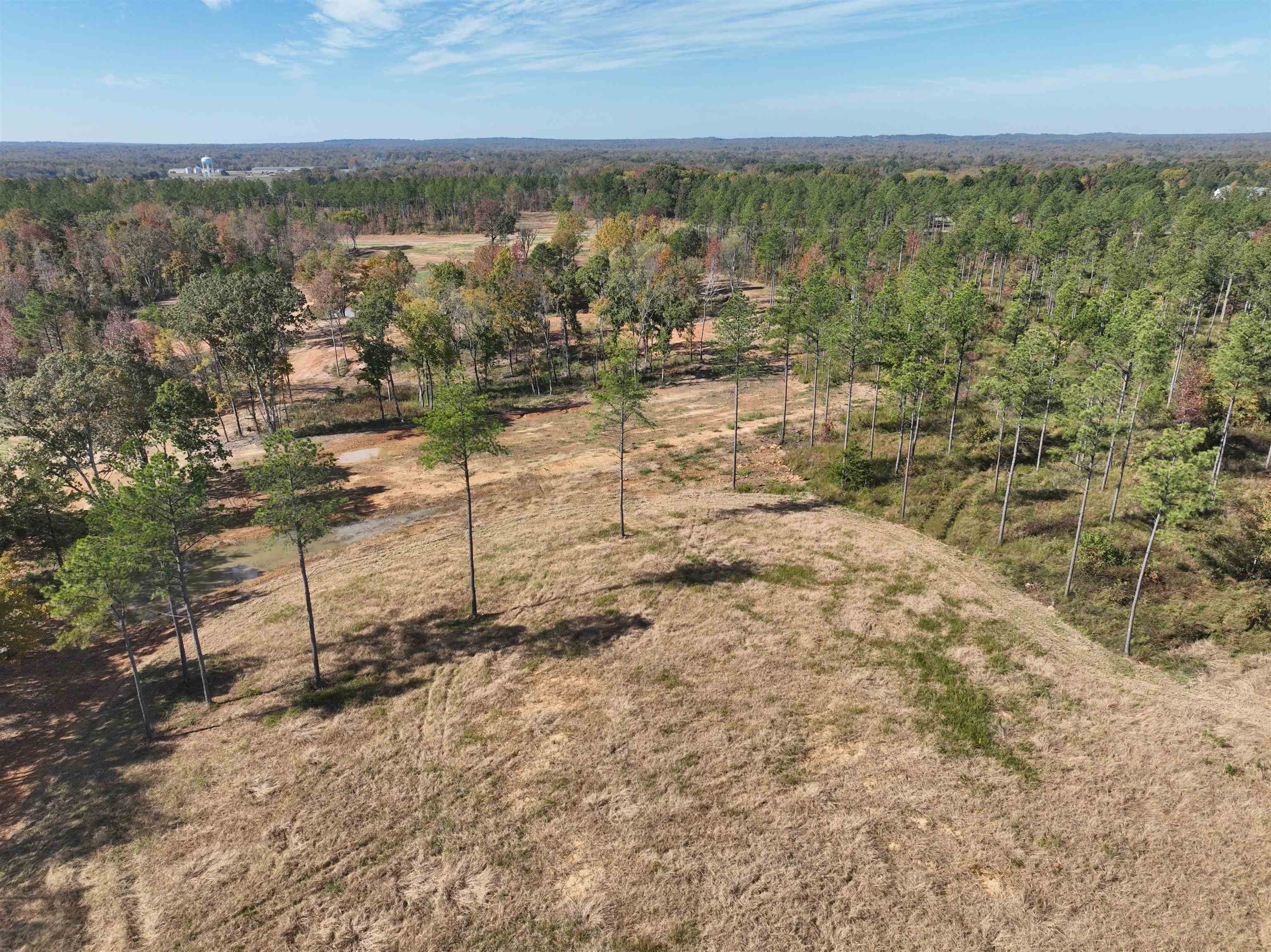 1050 Clifft Road Bolivar, TN 38008 - Photo 3 of 21 a view of lake and mountain