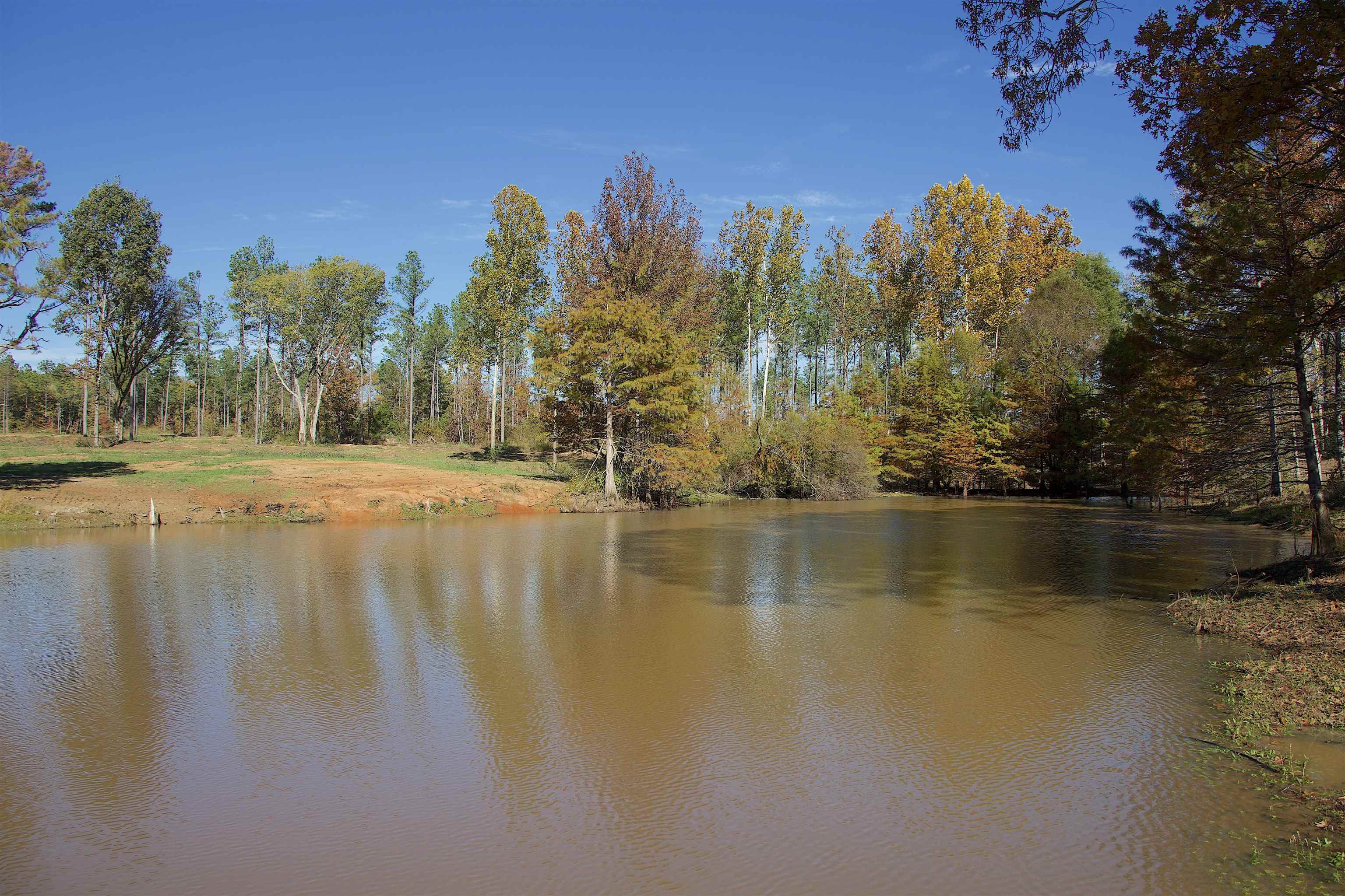 1050 Clifft Road Bolivar, TN 38008 - Photo 5 of 21 a view of a lake with a building in the background