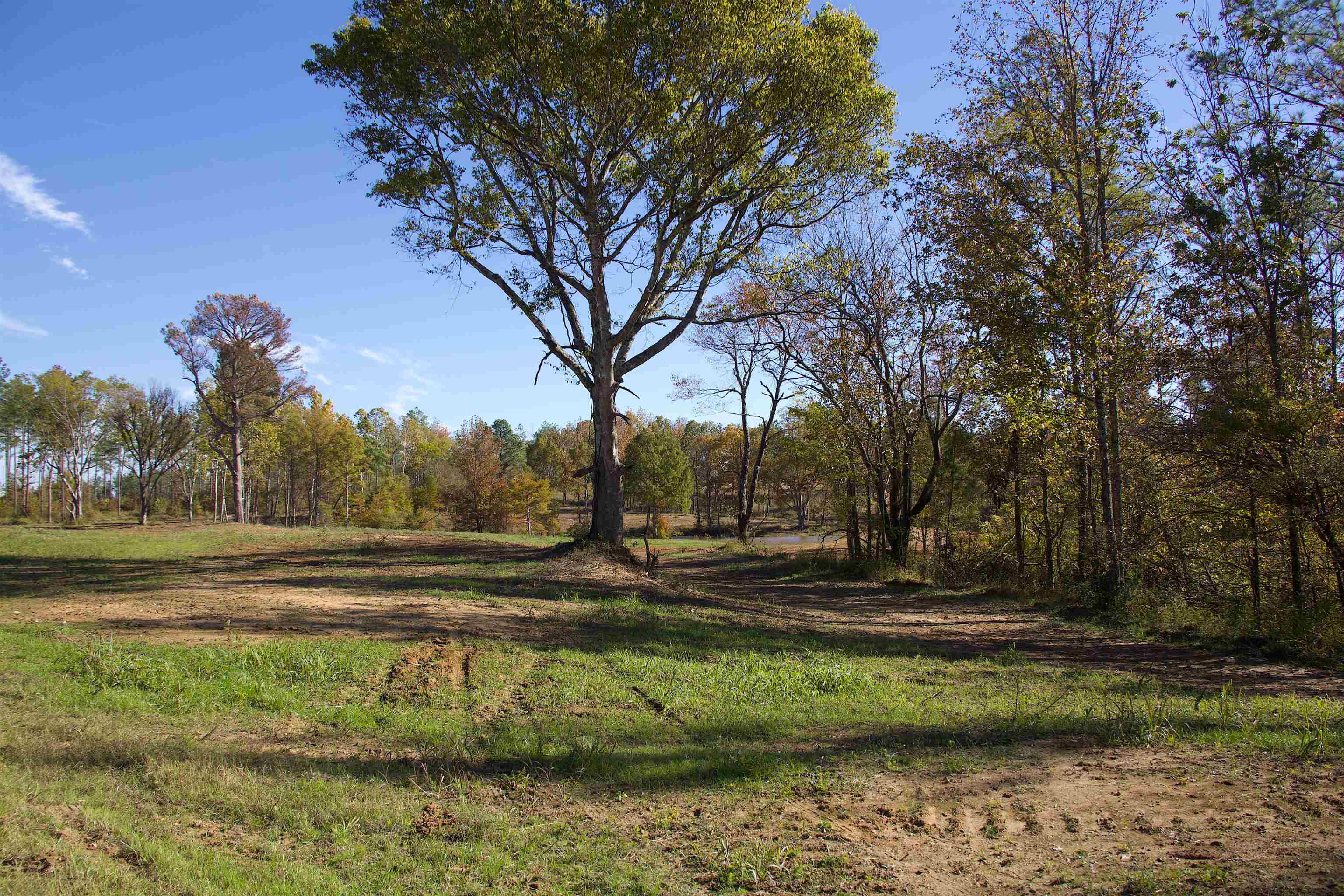 1050 Clifft Road Bolivar, TN 38008 - Photo 6 of 21 a view of yard with green space