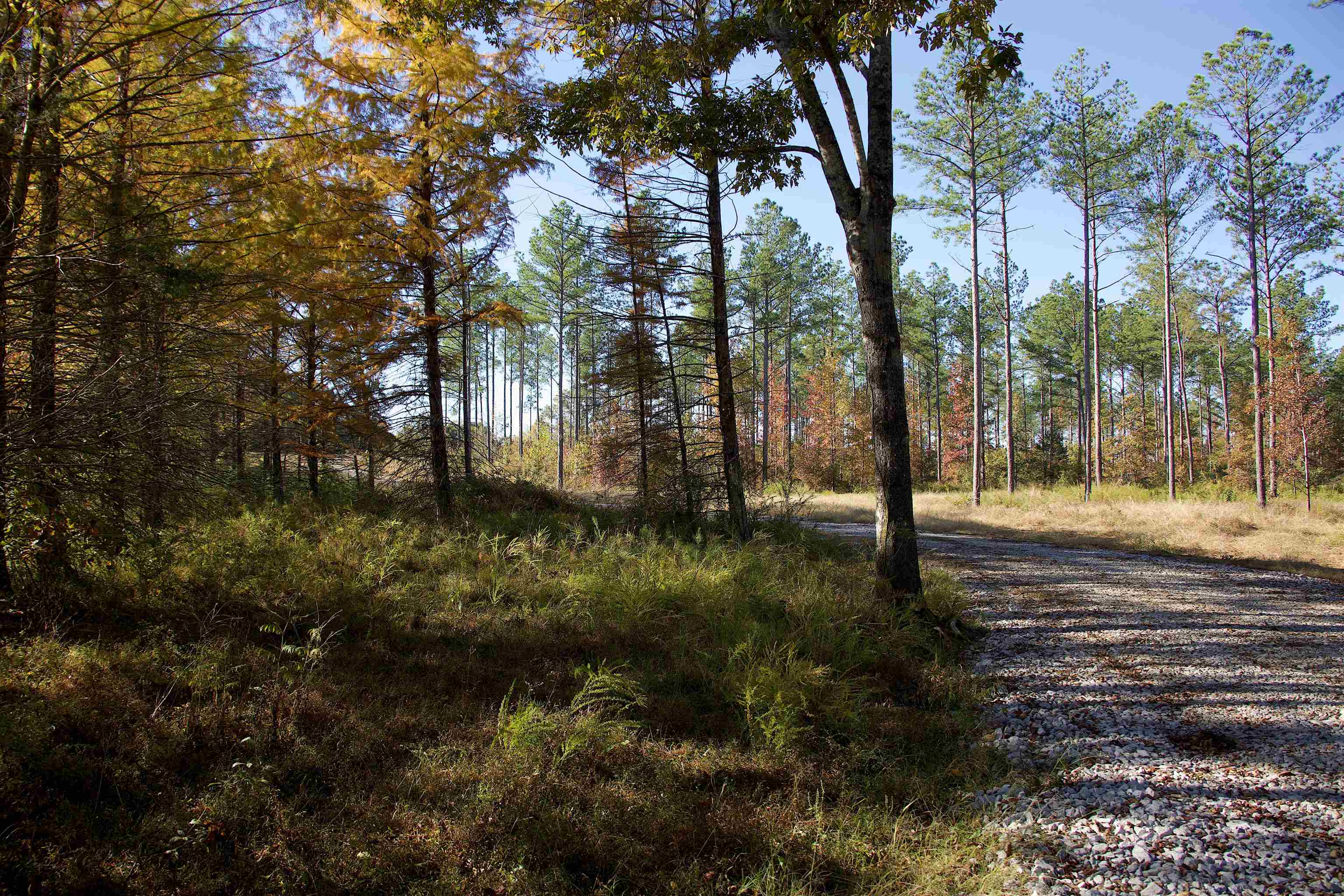 1050 Clifft Road Bolivar, TN 38008 - Photo 7 of 21