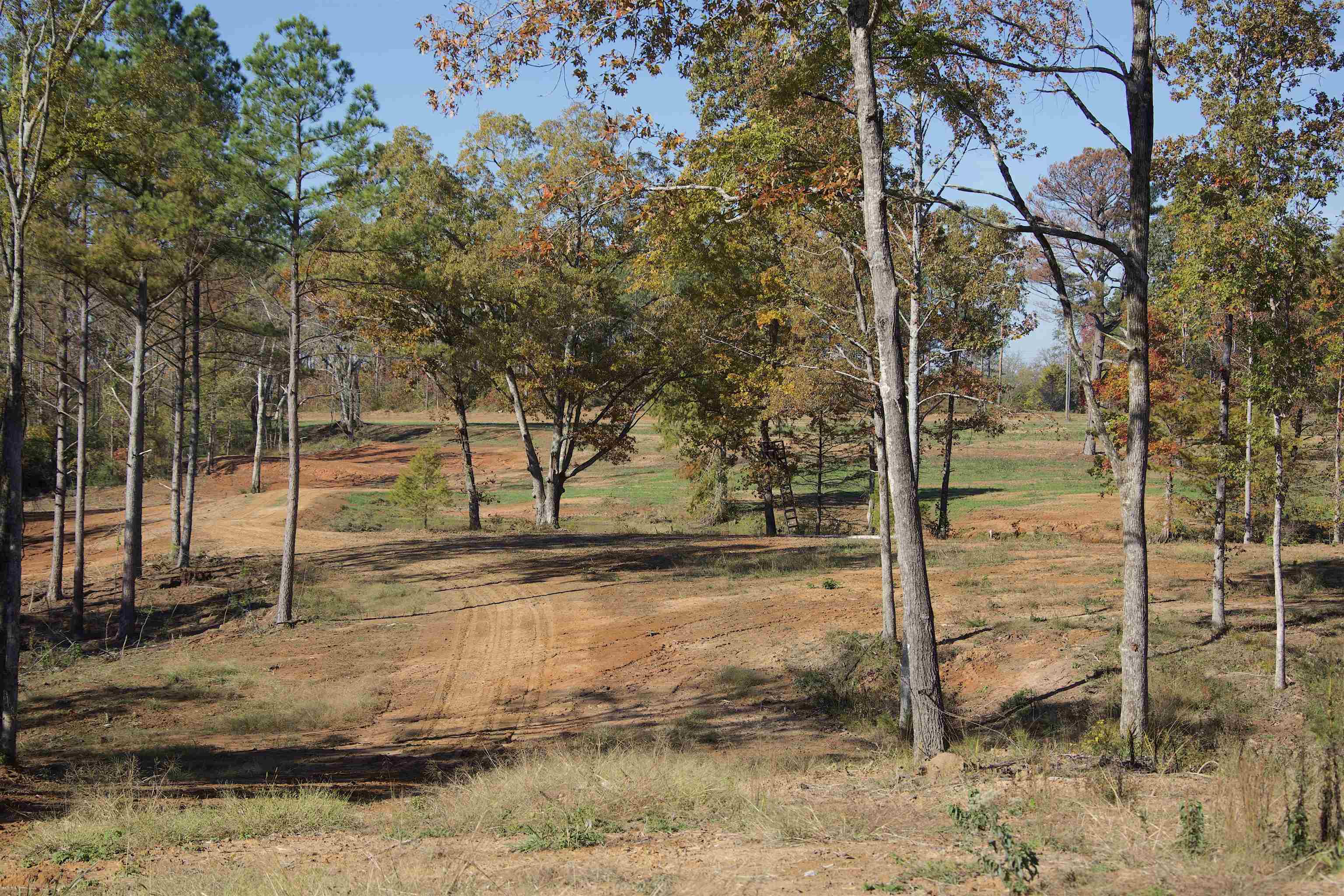 1050 Clifft Road Bolivar, TN 38008 - Photo 10 of 21 a view of a yard with wooden fence