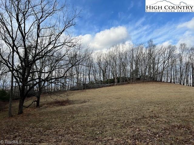 Tbd McNeil Road Warrensville, NC 28693 - Photo 2 of 10