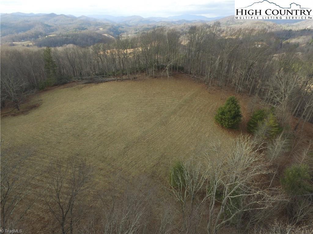 Tbd McNeil Road Warrensville, NC 28693 - Photo 3 of 10