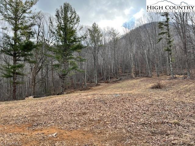 Tbd McNeil Road Warrensville, NC 28693 - Photo 4 of 10