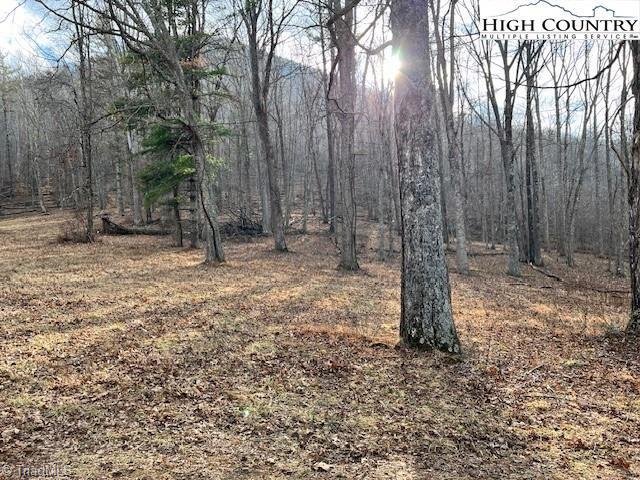 Tbd McNeil Road Warrensville, NC 28693 - Photo 5 of 10