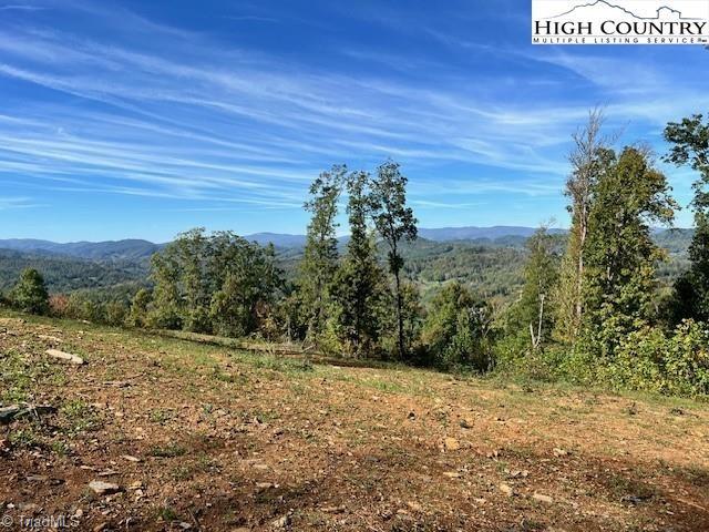 Tbd McNeil Road Warrensville, NC 28693 - Photo 6 of 10