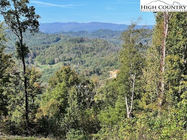 Tbd McNeil Road Warrensville, NC 28693 - Photo 7 of 10