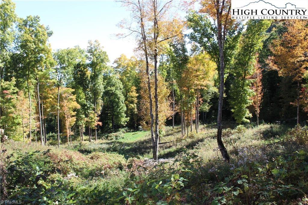 Tbd McNeil Road Warrensville, NC 28693 - Photo 9 of 10