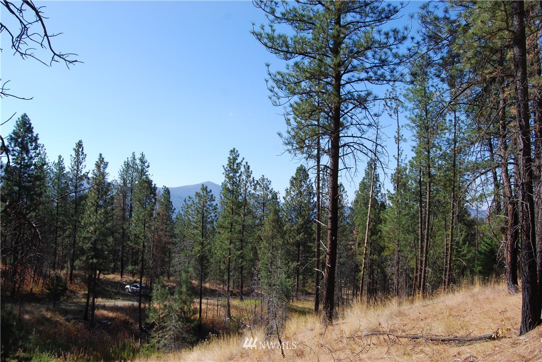 1 Long Horn Trail Riverside, WA 98849 - Photo 1 of 19 Gallery Image 1