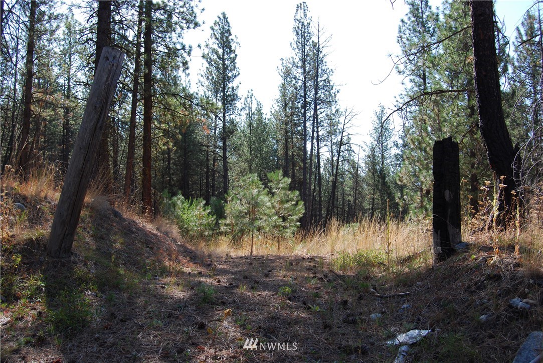 1 Long Horn Trail Riverside, WA 98849 - Photo 2 of 19 Gallery Image 2