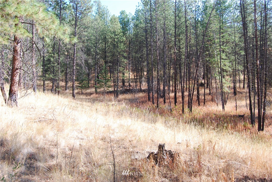 1 Long Horn Trail Riverside, WA 98849 - Photo 11 of 19 Gallery Image 11