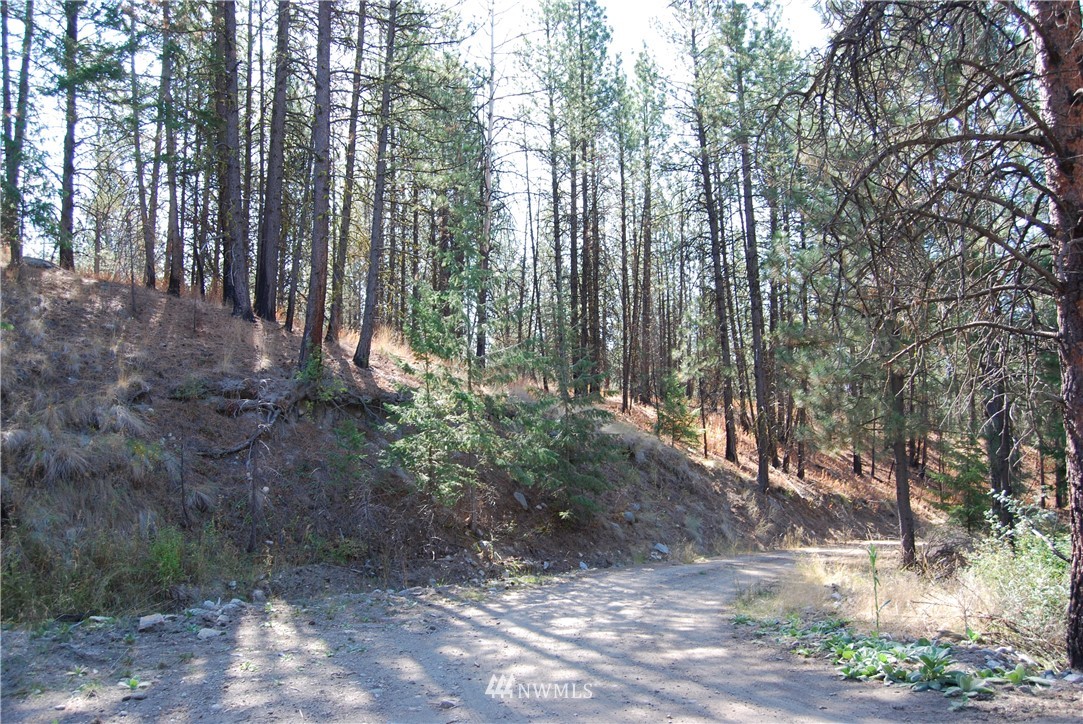 1 Long Horn Trail Riverside, WA 98849 - Photo 12 of 19 Gallery Image 12