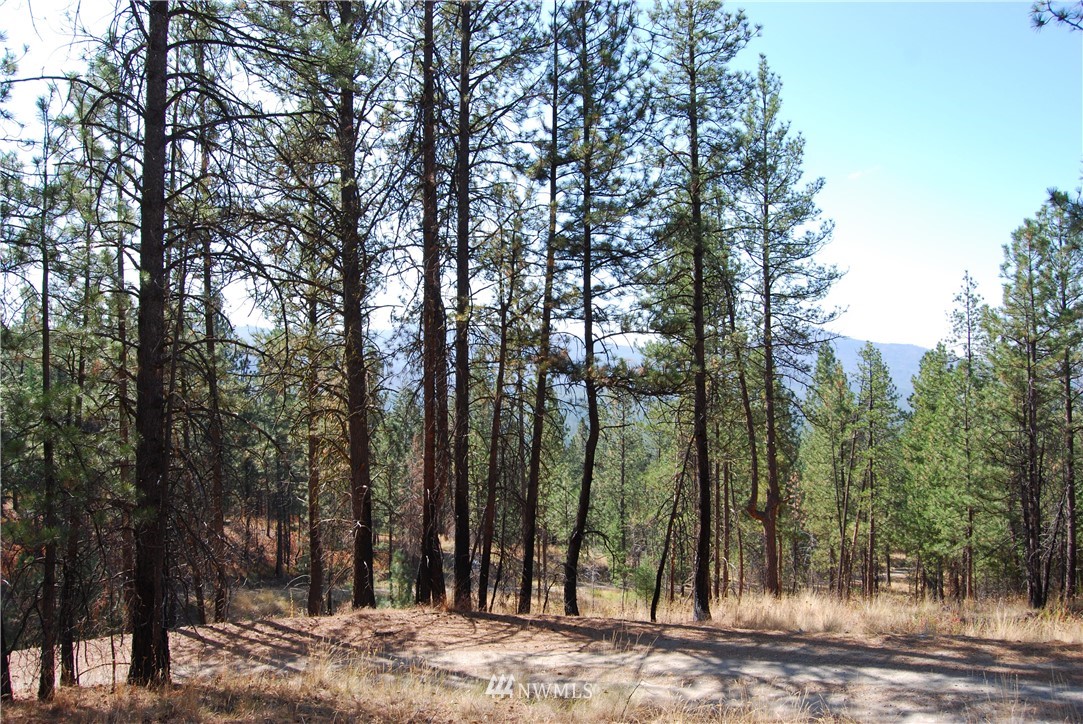 1 Long Horn Trail Riverside, WA 98849 - Photo 13 of 19 Gallery Image 13