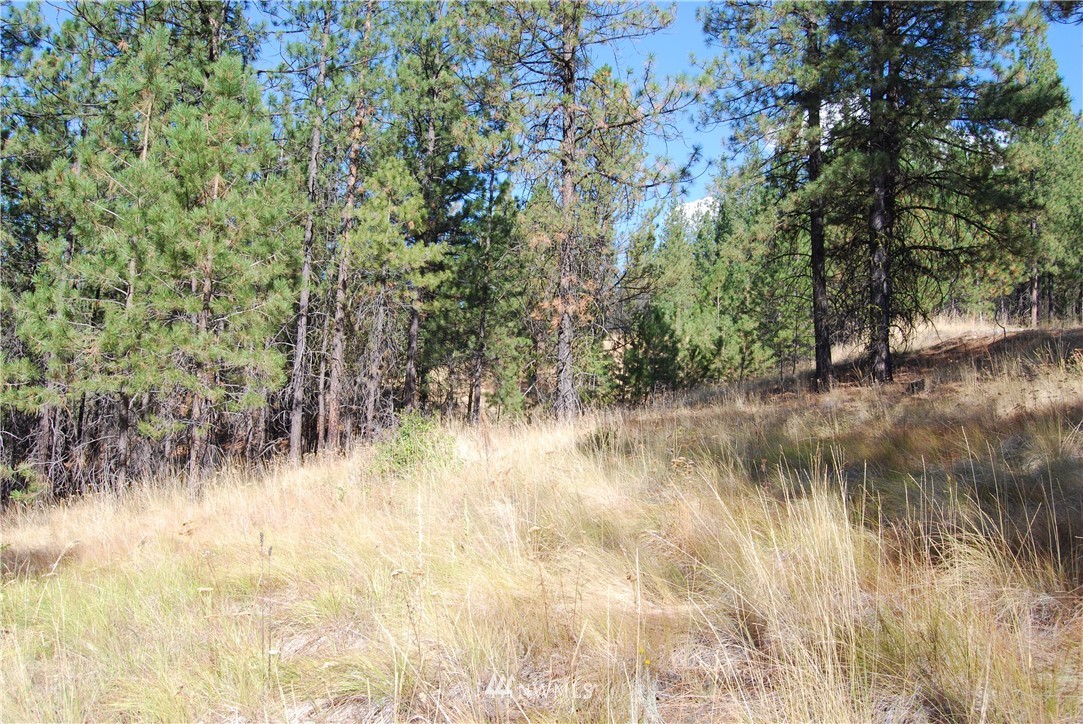 1 Long Horn Trail Riverside, WA 98849 - Photo 14 of 19 Gallery Image 14