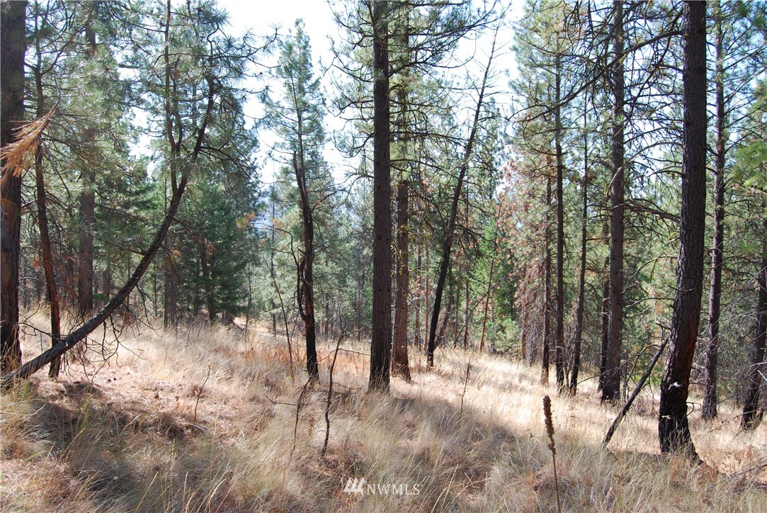 1 Long Horn Trail Riverside, WA 98849 - Photo 15 of 19 Gallery Image 15