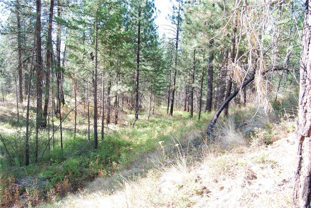 1 Long Horn Trail Riverside, WA 98849 - Photo 16 of 19 Gallery Image 16
