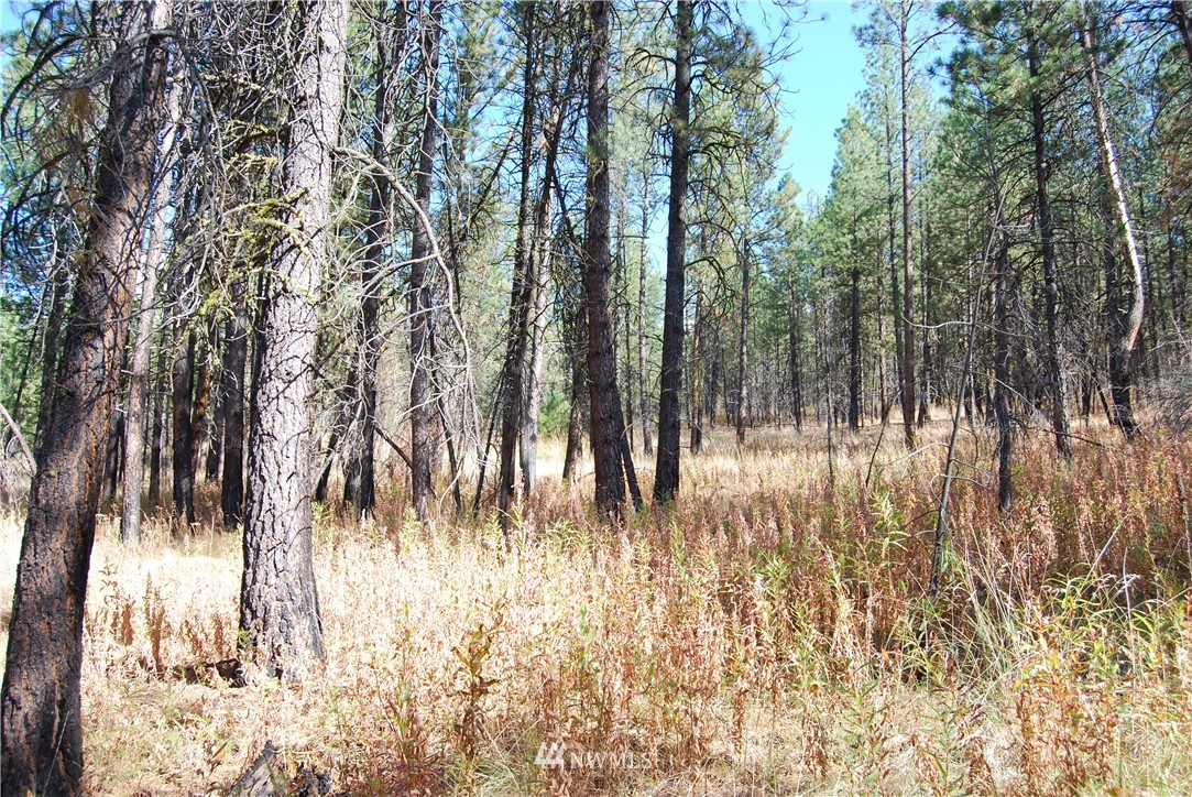 1 Long Horn Trail Riverside, WA 98849 - Photo 17 of 19 Gallery Image 17