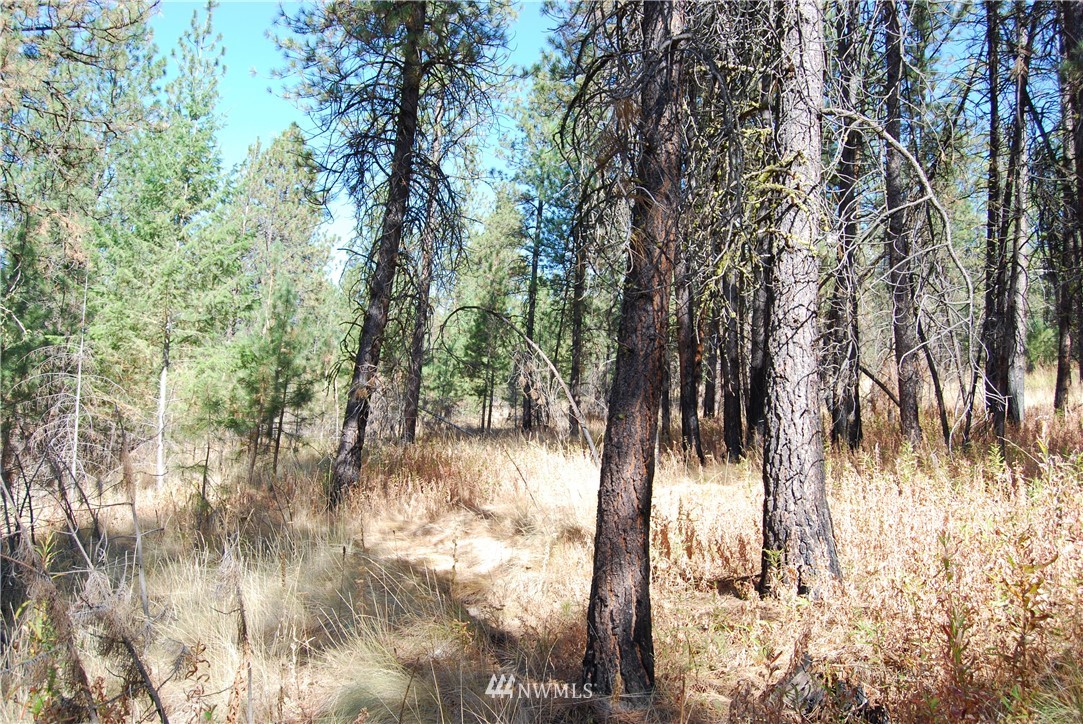 1 Long Horn Trail Riverside, WA 98849 - Photo 18 of 19 Gallery Image 18