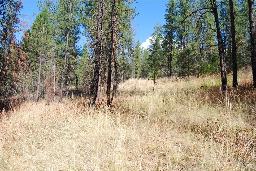 1 Long Horn Trail Riverside, WA 98849 - Photo 19 of 19 Gallery Image 19