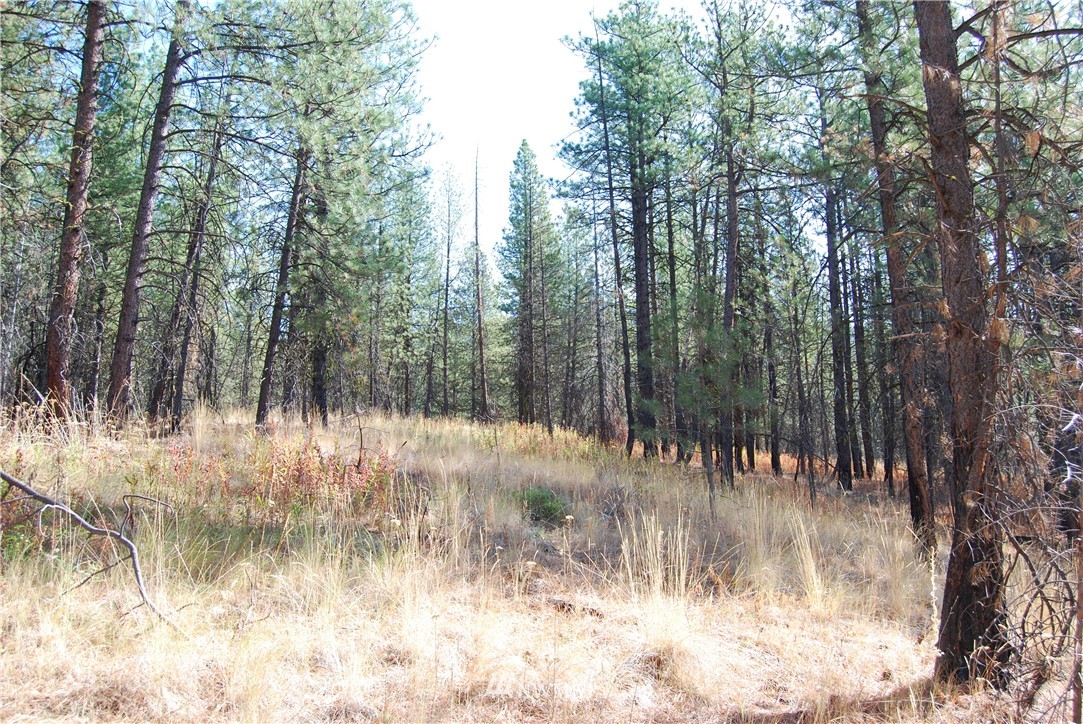 1 Long Horn Trail Riverside, WA 98849 - Photo 3 of 19 Gallery Image 3