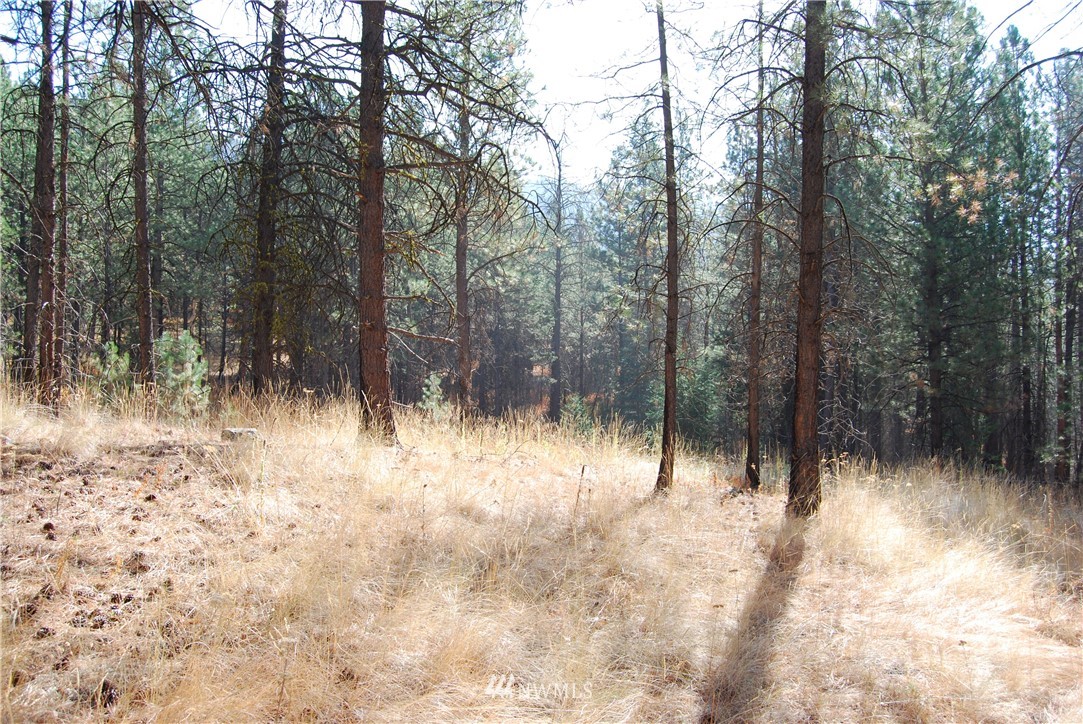 1 Long Horn Trail Riverside, WA 98849 - Photo 4 of 19 Gallery Image 4