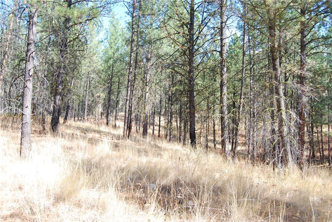 1 Long Horn Trail Riverside, WA 98849 - Photo 5 of 19 Gallery Image 5