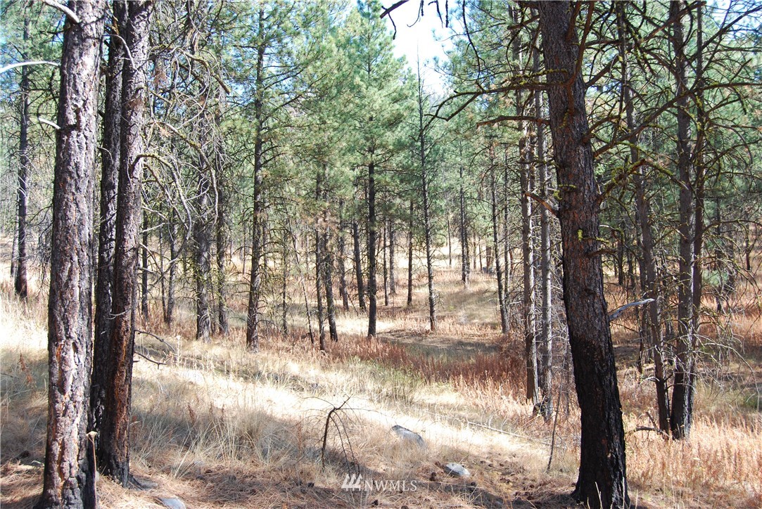 1 Long Horn Trail Riverside, WA 98849 - Photo 6 of 19 Gallery Image 6