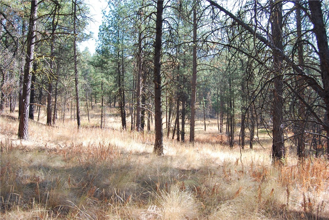 1 Long Horn Trail Riverside, WA 98849 - Photo 7 of 19 Gallery Image 7