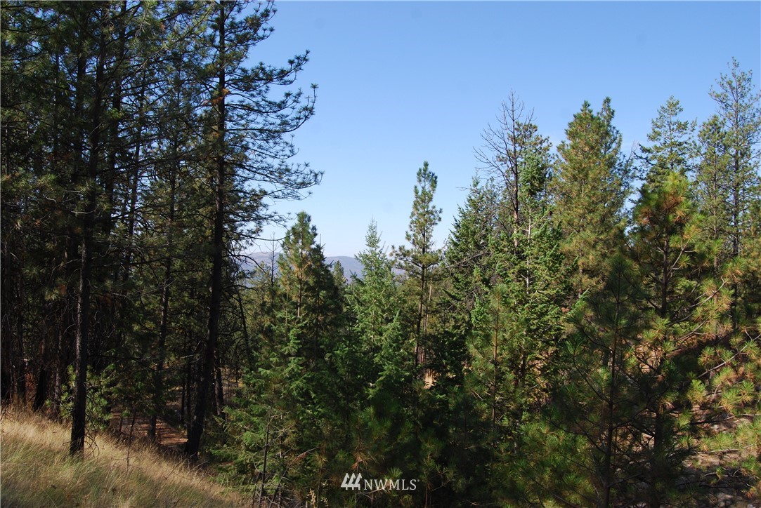 1 Long Horn Trail Riverside, WA 98849 - Photo 8 of 19 Gallery Image 8